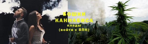 прущая мука Губаха