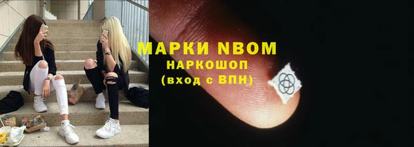 шишки Алексин
