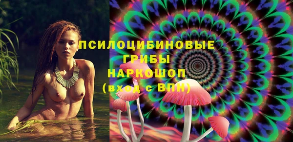 шишки Алексин