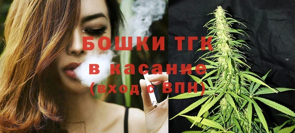 шишки Алексин