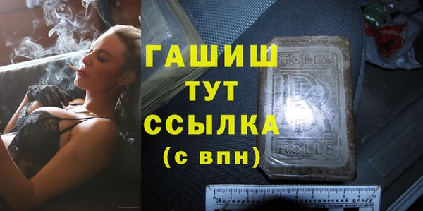 шишки Саяногорск
