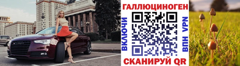 купить  сайты  Спасск  Псилоцибиновые грибы мицелий 